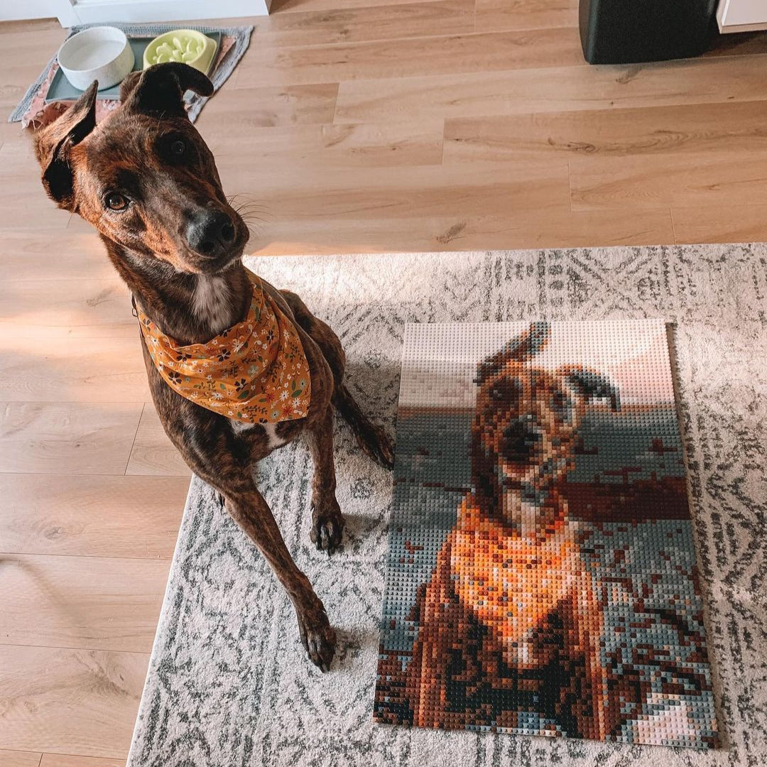 Personalised Brick Mosaic Gift for Dog Lovers | LEGO-Compatible Bricks