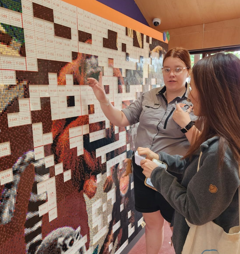 Brand Activation With Sydney Zoo