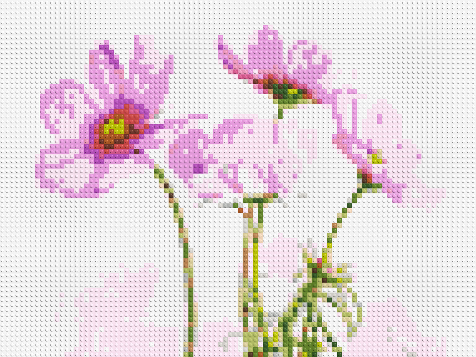 Pink Cosmea - Brick Art Mosaic Kit 4x3 large