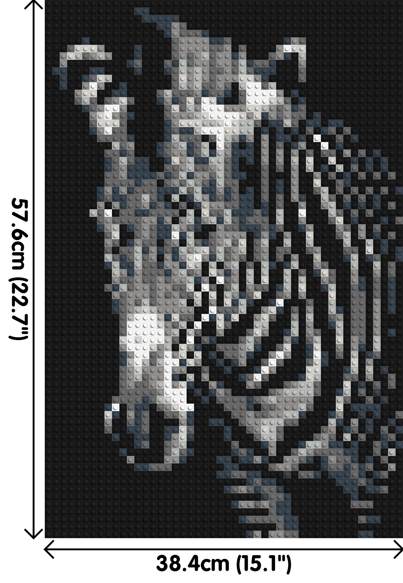 Black & White Zebra - Brick Art Mosaic Kit 2x3 dimensions