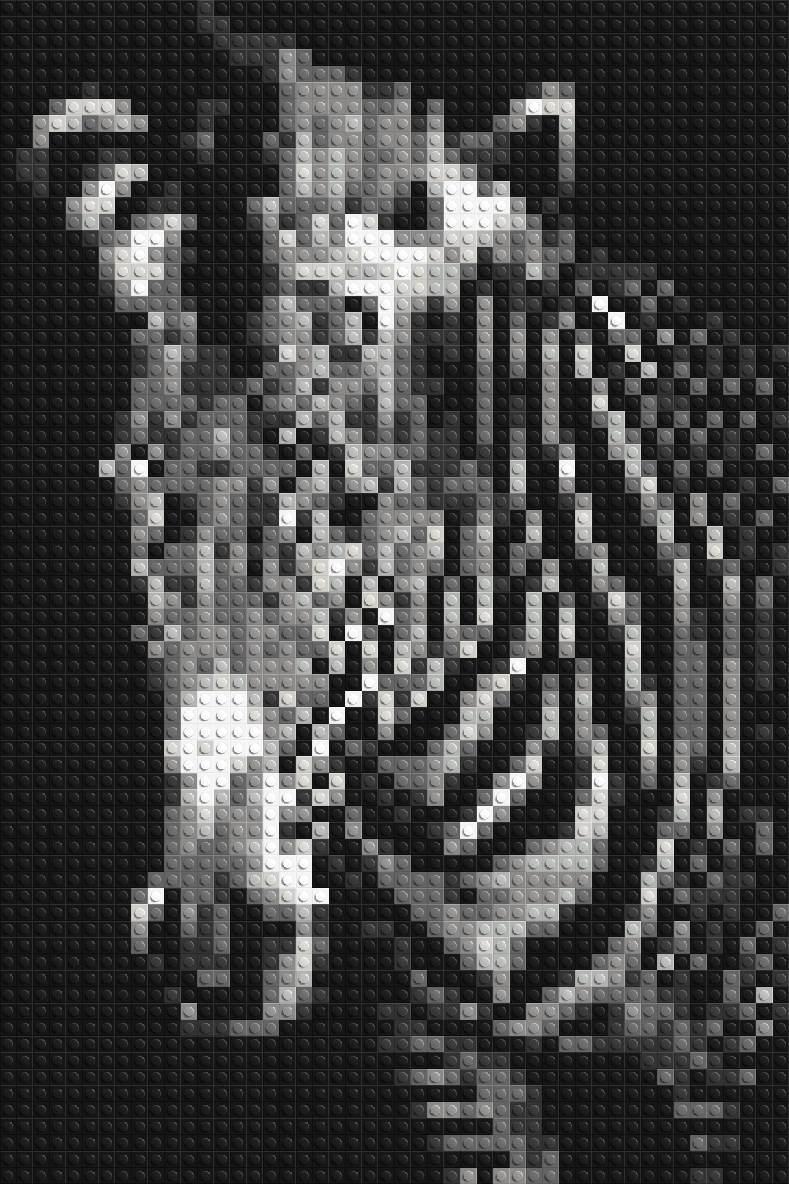 Black & White Zebra - Brick Art Mosaic Kit 2x3 large