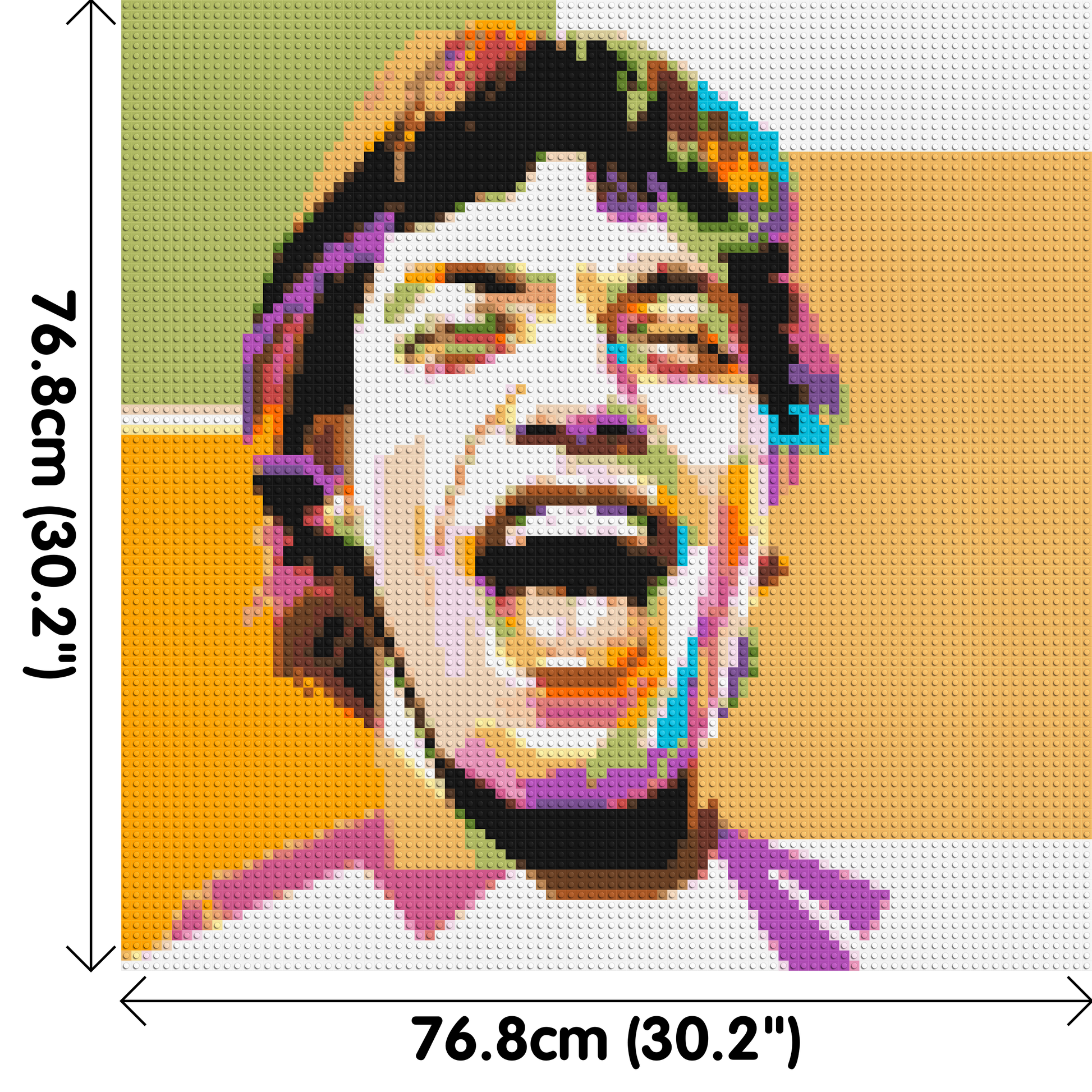 Mick Jagger - Brick Art Mosaic Kit 4x4 dimensions