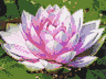 Water Lily - Brick Art Mosaic Kit 4x3 large