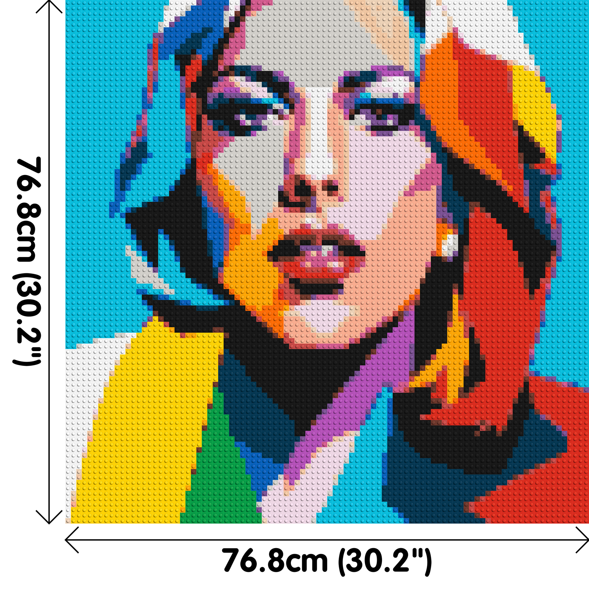 Lady Gaga - Brick Art Mosaic Kit 4x4 dimensions