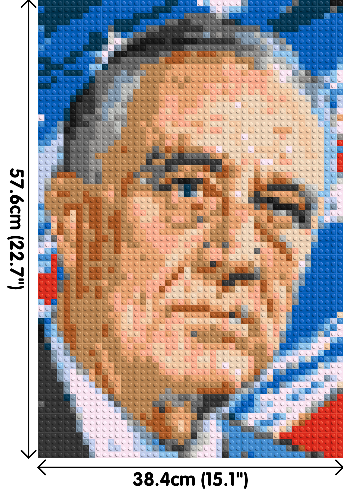 Franklin D. Roosevelt - Brick Art Mosaic Kit  2x3 large