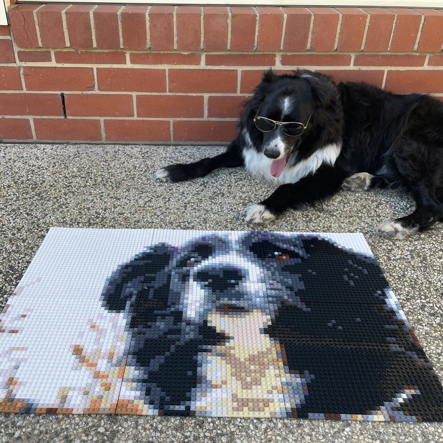 Personalised Brick Mosaic Gift for Dog Lovers | LEGO-Compatible Bricks